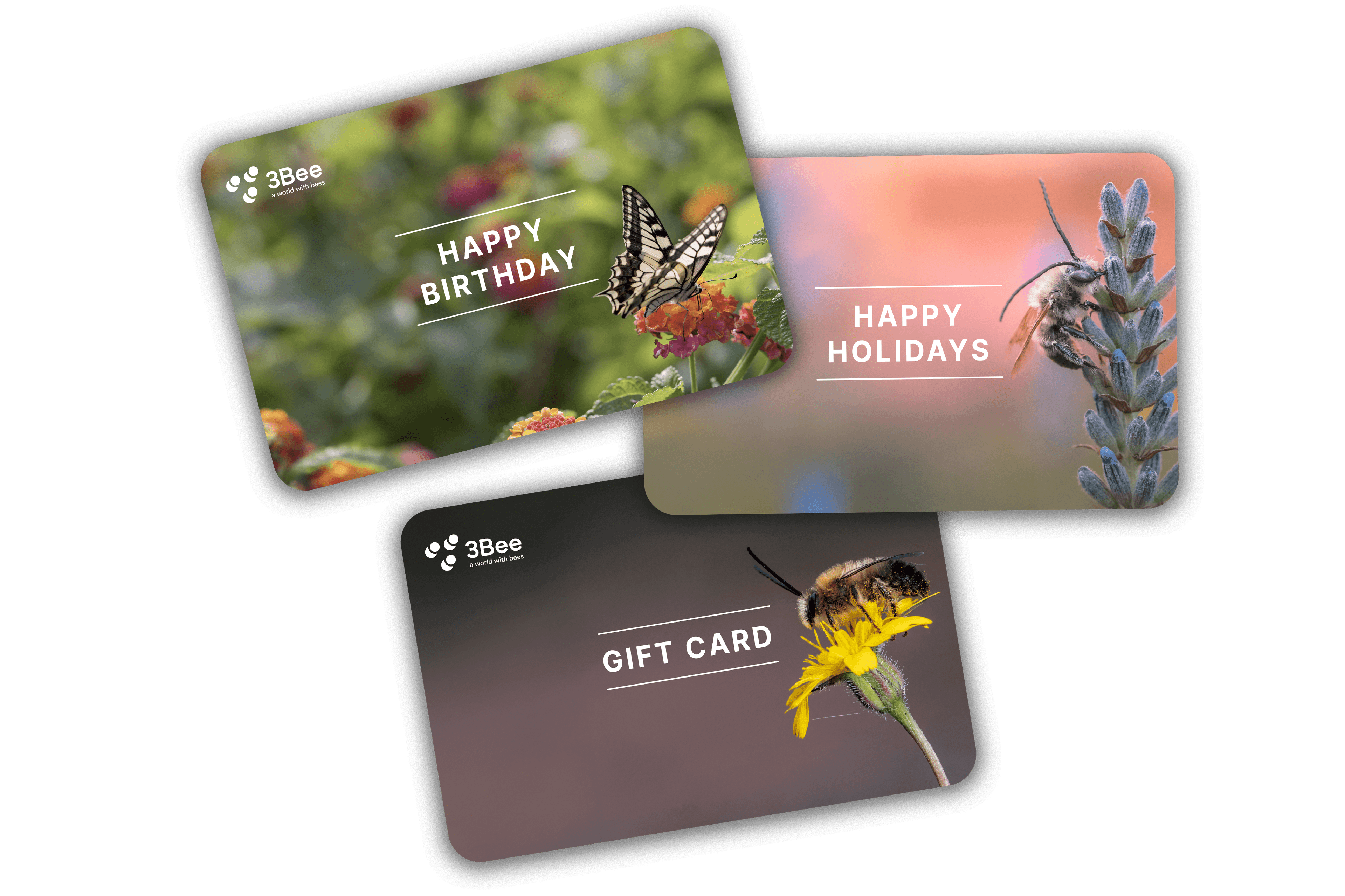 gift-card