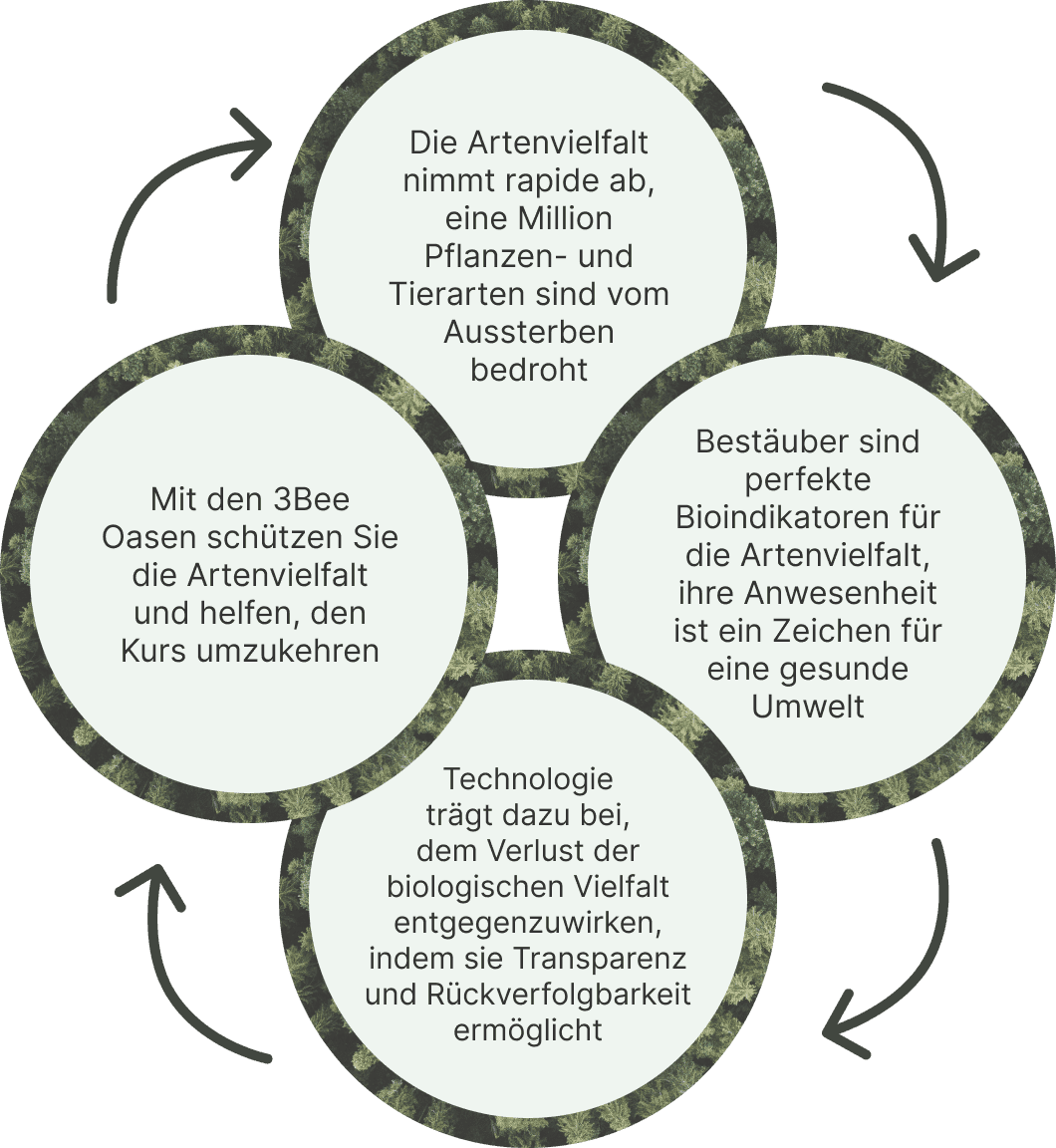 Die <b>Biodiversitätsoasen</b> von 3Bee sind nicht einfach nur Grünflächen, sondern sorgfältig gestaltete Ökosysteme, die den Umweltschutz fördern.<br/>Dank der 3Bee-Technologie verbinden die Oasen Natur und Menschen mit einem starken Umwelteffekt.<br/><br/>Wenn Sie sich für eine Oasenpatenschaft entscheiden, tragen Sie nicht nur zum <b>Schutz der biologischen Vielfalt</b> bei, sondern werden auch Teil eines Netzwerks bewusster Menschen, die sich aktiv für eine nachhaltigere Zukunft einsetzen. Seien Sie Teil des Wandels: übernehmen Sie eine Oase und verbinden Sie Ihr Engagement für die Umwelt mit <b>der technologischen Innovation</b> von 3Bee.