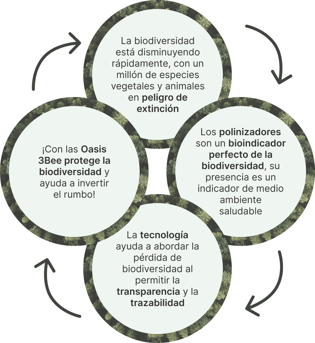 Los <b>Oasis de Biodiversidad</b> de 3Bee no son meras zonas verdes, sino ecosistemas cuidadosamente diseñados que promueven la conservación del medio ambiente.<br/>Gracias a la tecnología de 3Bee, los Oasis conectan la naturaleza y las personas con un fuerte efecto medioambiental.<br/><br/>Al optar por apadrinar un Oasis, no sólo contribuirás a <b>proteger la biodiversidad</b>, sino que también te unirás a una red de personas concienciadas que actúan activamente por un futuro más sostenible. Forma parte del cambio: apadrina un Oasis y conecta tu compromiso con el medio ambiente con <b>la innovación tecnológica</b> de 3Bee.