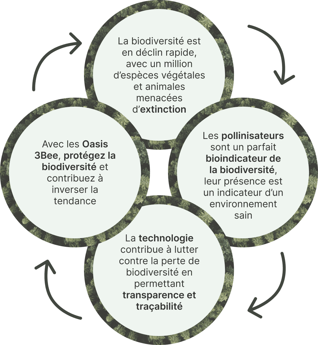Les <b>Oasis de Biodiversité</b> de 3Bee ne sont pas de simples espaces verts, mais des écosystèmes soigneusement conçus pour promouvoir la conservation de l'environnement.<br/>Grâce à la technologie 3Bee, les Oasis relient la nature et les personnes avec un fort impact environnemental.<br/><br/>En choisissant de parrainer une Oasis, vous ne contribuez pas seulement à <b>la protection de la biodiversité</b>, mais vous rejoignez également un réseau de personnes conscientes qui agissent activement pour un avenir plus durable. Participez au changement : parrainez une Oasis et associez votre engagement en faveur de l'environnement à <b>l'innovation technologique</b> de 3Bee.