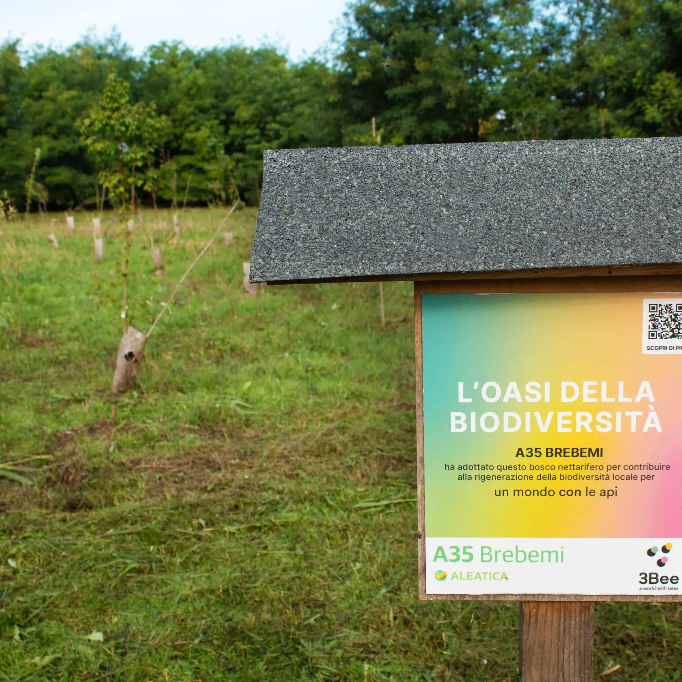 caseStudies.items.2.alt