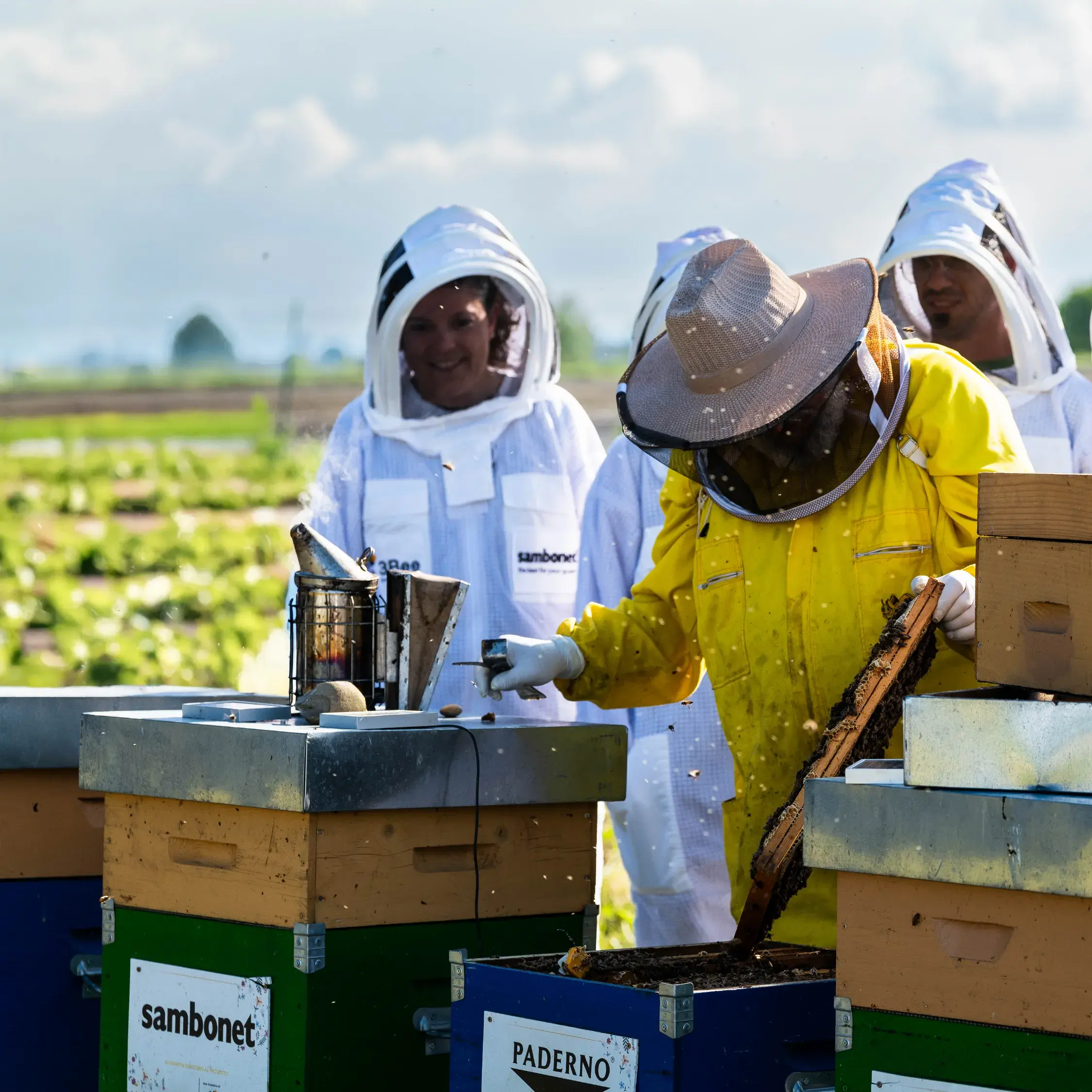 caseStudies.items.7.alt