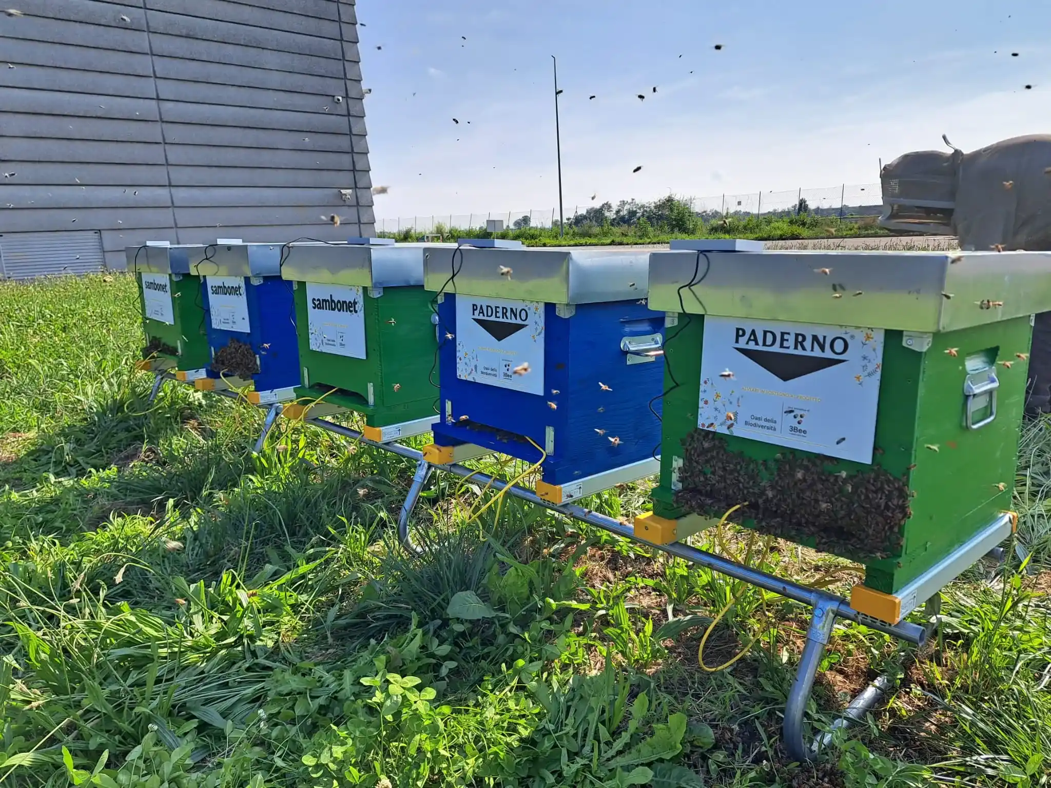 esgHive.items.16.alt