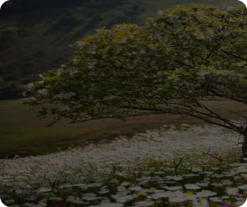 hero-background