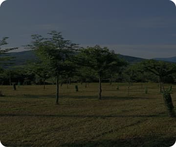 hero-background