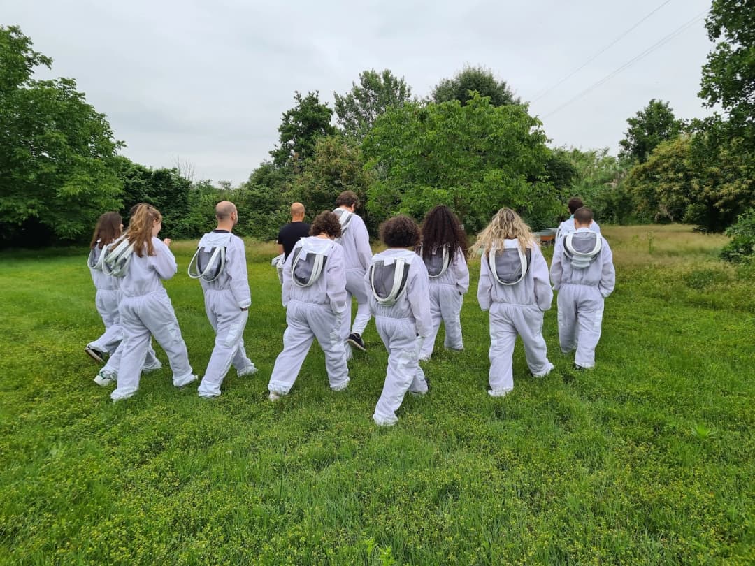 3Bee Professional Beekeeper A 3Bee beekeeper inspecting a high-tech hive.