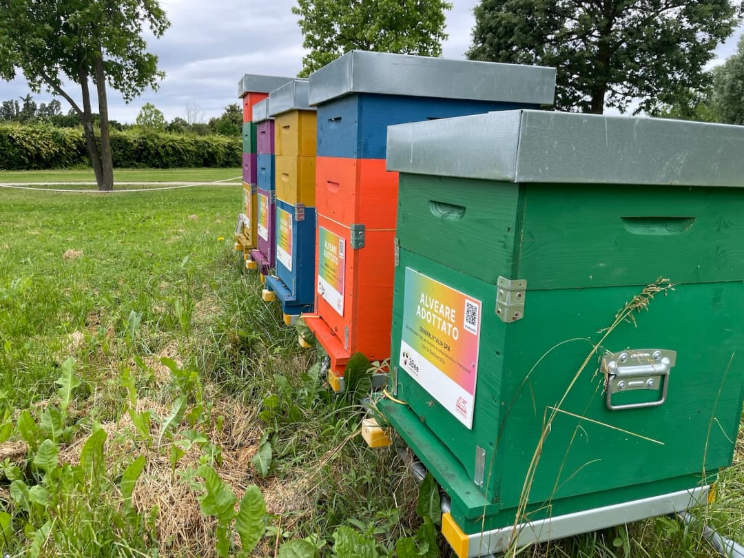 3Bee Custom Apiaries 3Bee customized hives for a corporate project in a flowering meadow.