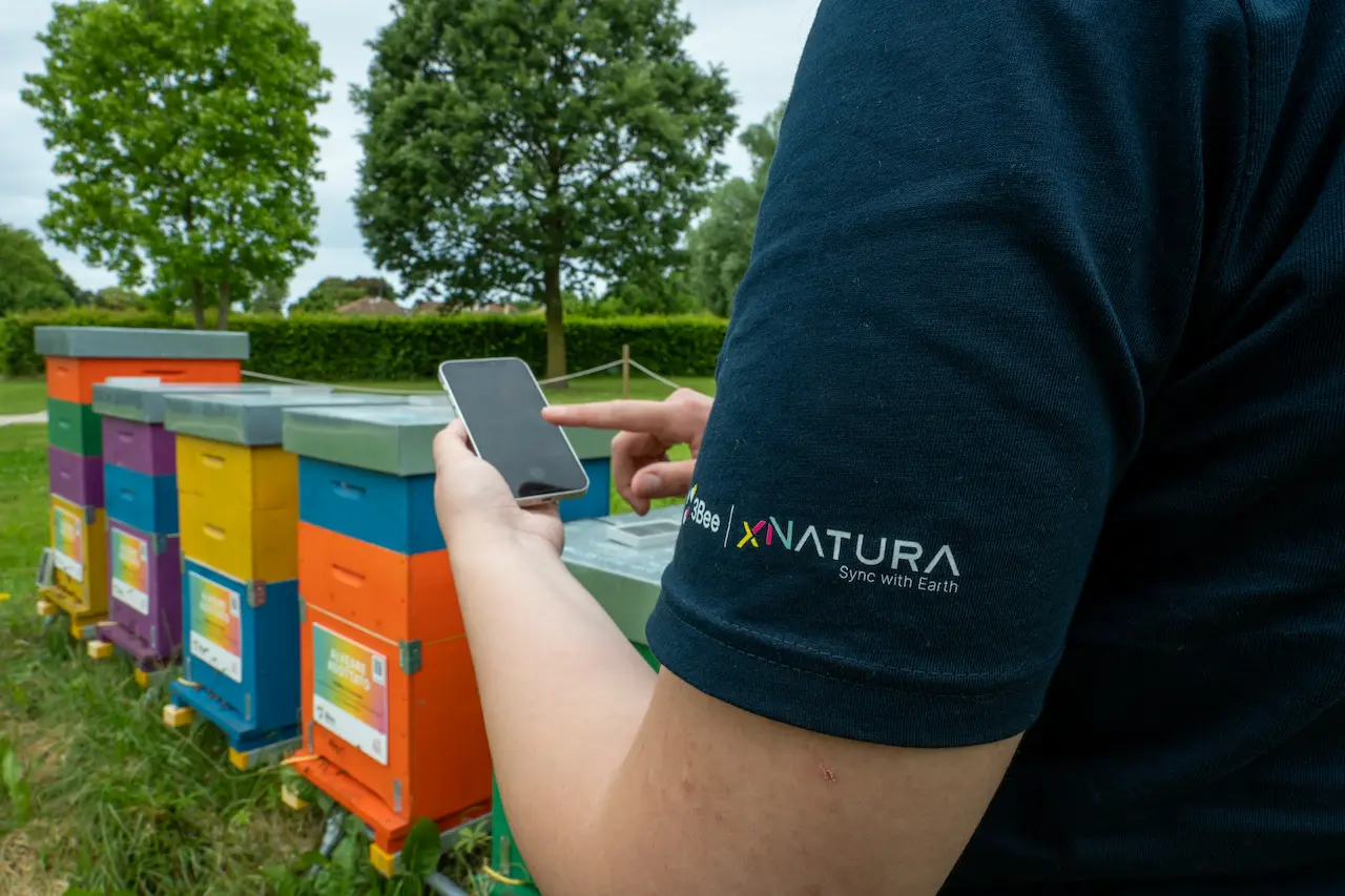 Rucher 3Bee pour le biomonitoring environnemental avec technologie intelligente Technologie 3Bee pour le biomonitoring environnemental avec des ruches colorées et des applications pour le contrôle des abeilles