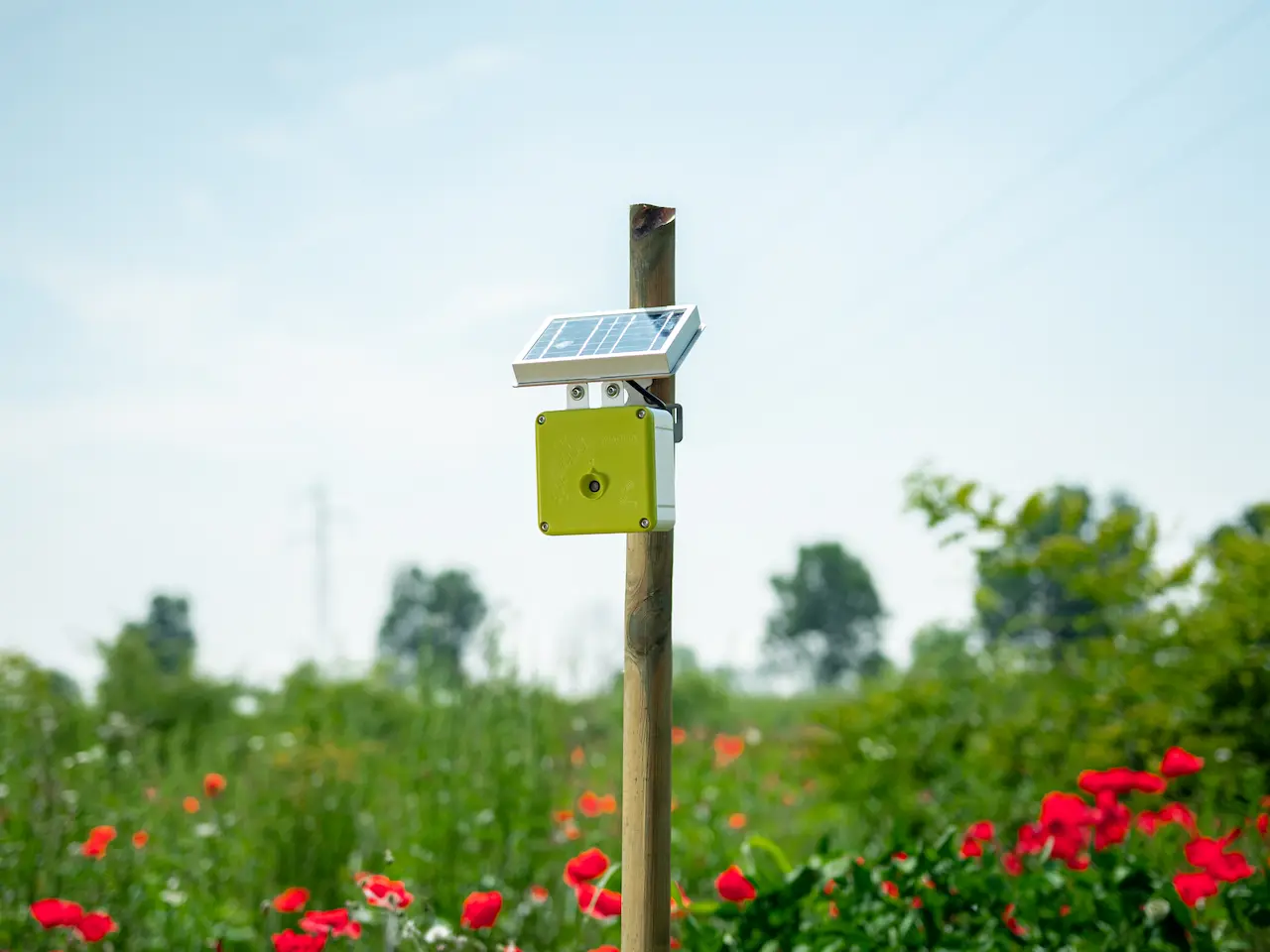 Technologie pour le suivi de l'avifaune dans les Oases 3Bee Dispositif acoustique pour le suivi de l'avifaune installé sur un arbre dans une Oasis 3Bee