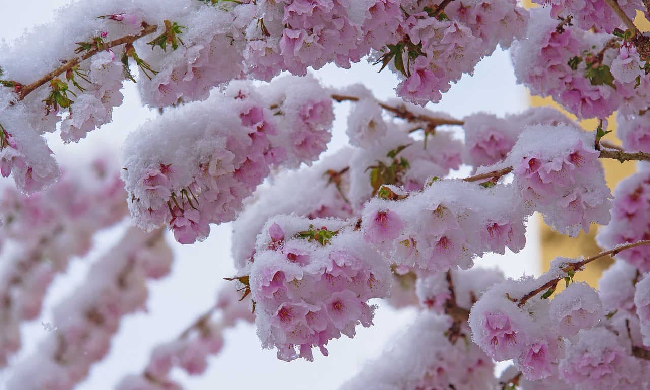 30% auf alles bei 3 Bears Porridge🧡 Code: AMELIE12