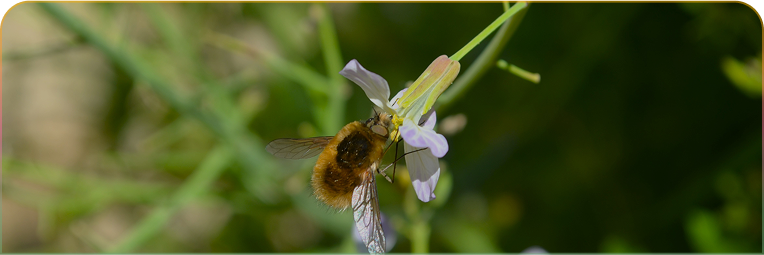 Bist du ein Unternehmen?