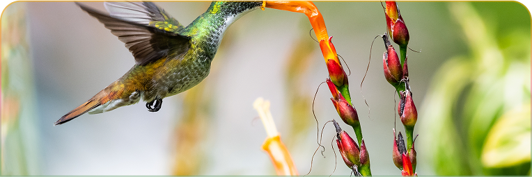 Bist du Privatperson?