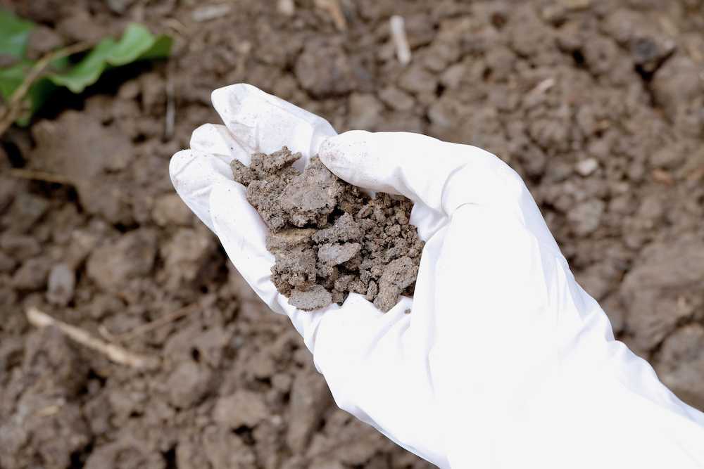 The soil is polluted by our poisons