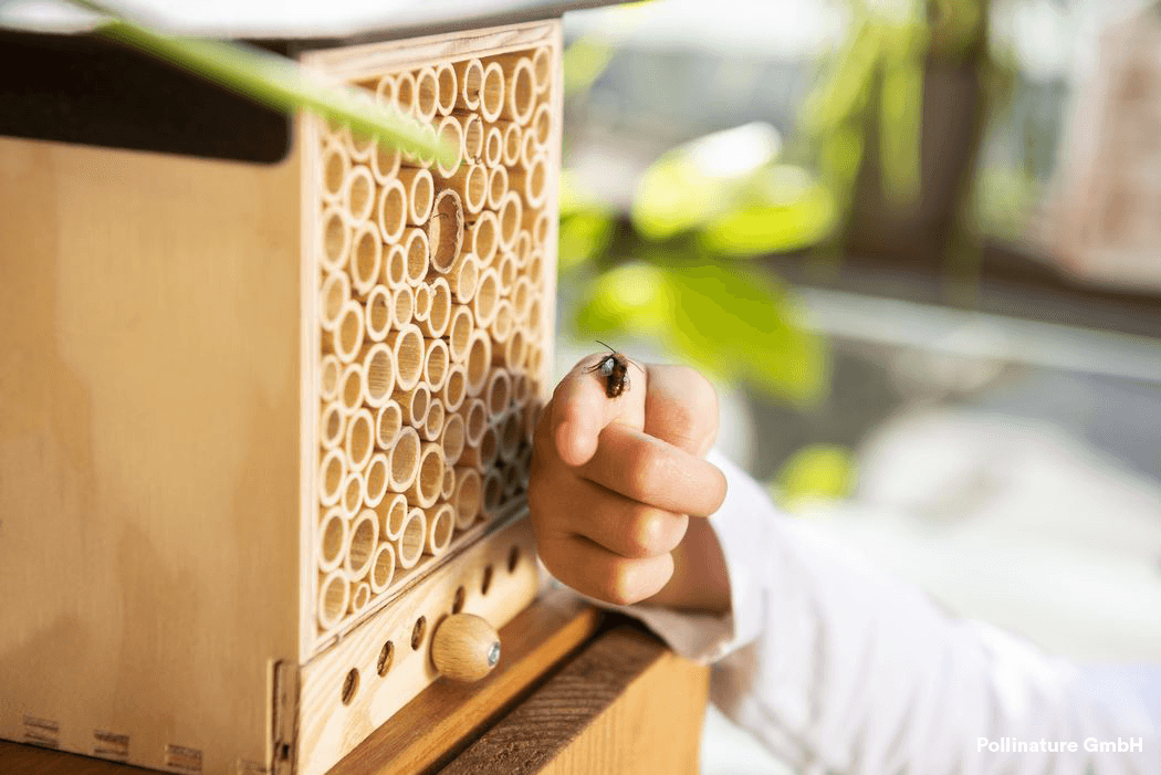 Einsame Biene auf einer Hand