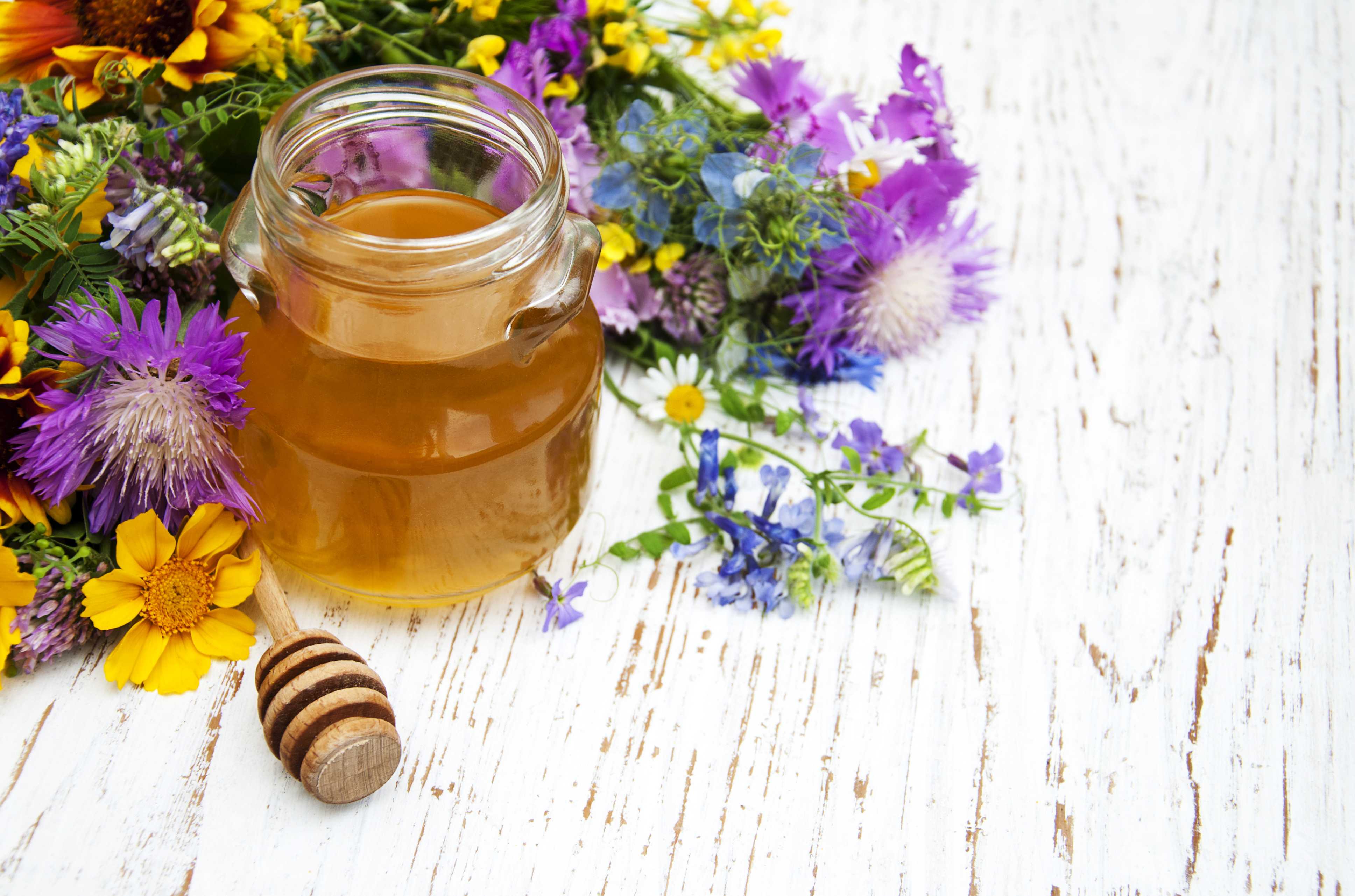 Miels rares de 3Bee, non seulement le miel de manuka mais aussi le miel biologique de tilleul, de printemps, d'ailanthus et de miellat