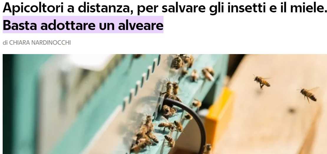 Adopt a beehive 3Bee La Repubblica